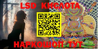 mdma Сланцы