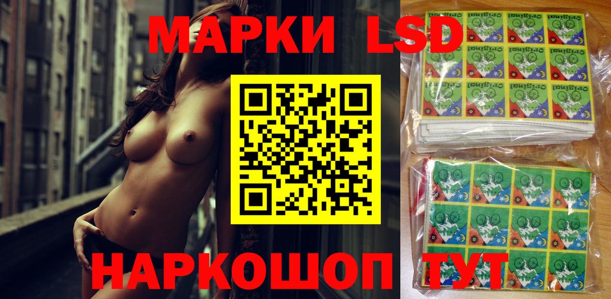 МЕФ Новоалтайск