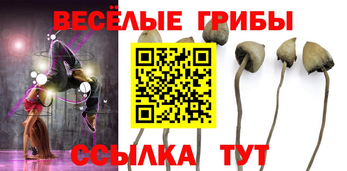 Галлюциногенные грибы мицелий Новоалтайск