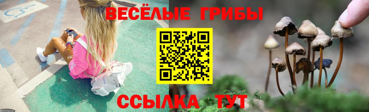 Новоалтайск  Галлюциногенные грибы Magic Shrooms  Вход с VPN 